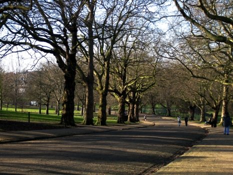 A lovely day for a walk
