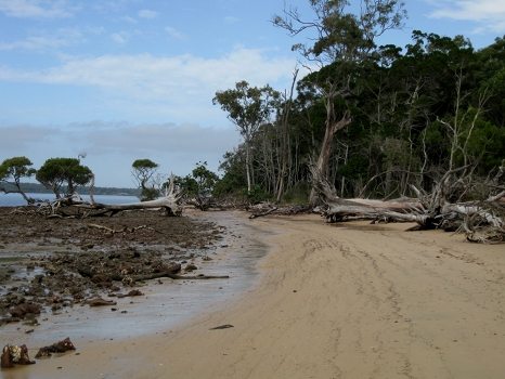 Coochie Mudlo Island