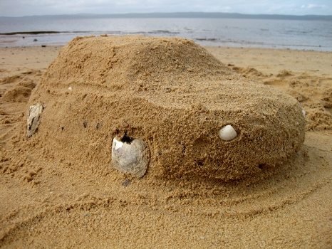 Our sand car