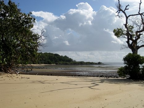 North side of Coochie Mudlo Island