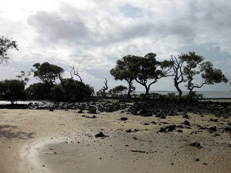 More Beach