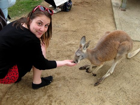 Feeding fluffy kangaroo