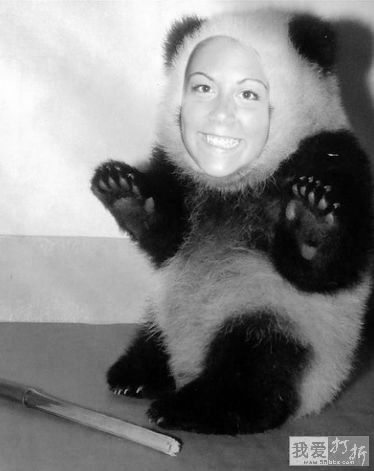 orsi_panda